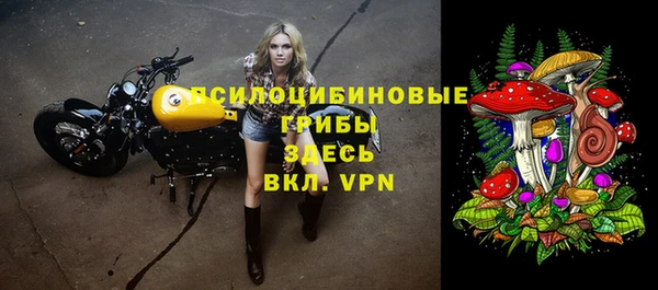 не бодяженный Арсеньев